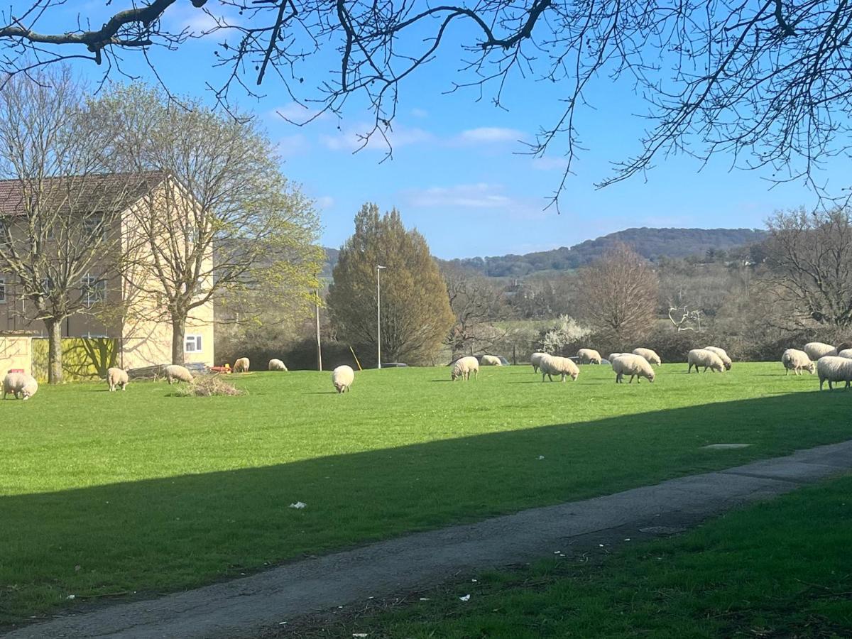 Floss Cottage Matson ภายนอก รูปภาพ